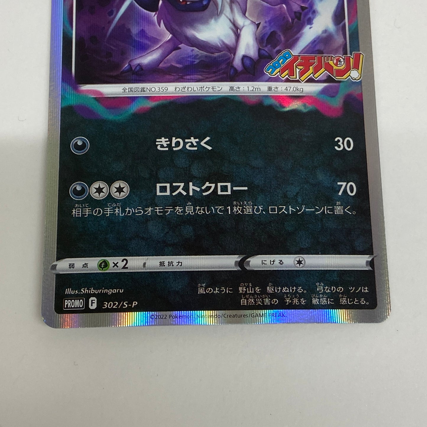 アブソル PROMO 302/S-P