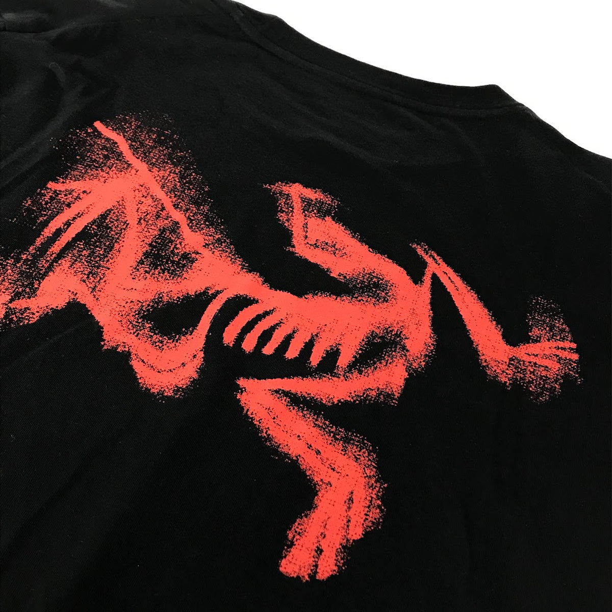 ARC'TERYX | アークテリクス Kragg SL Cotton Blurred Bird 半袖Ｔシャツ X000009538 ブラック サイズ：L【倉吉店】