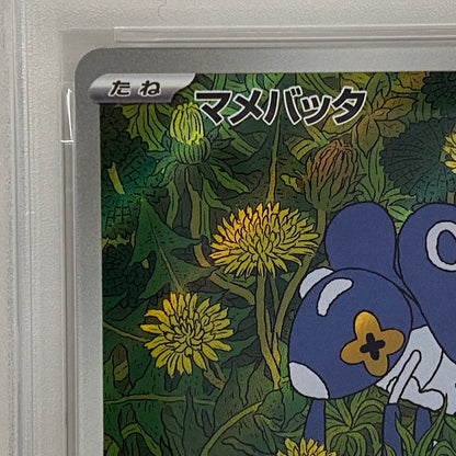 PSA10 マメバッタ AR 082/080serial:161703353【加古川店】