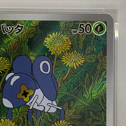 PSA10 マメバッタ AR 082/080serial:161703353【加古川店】