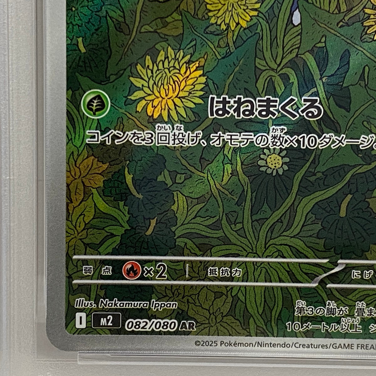 PSA10 マメバッタ AR 082/080serial:161703353【加古川店】
