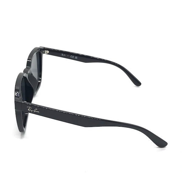 RAY BAN | レイバン サングラス RB4392D ブラック【倉吉店】