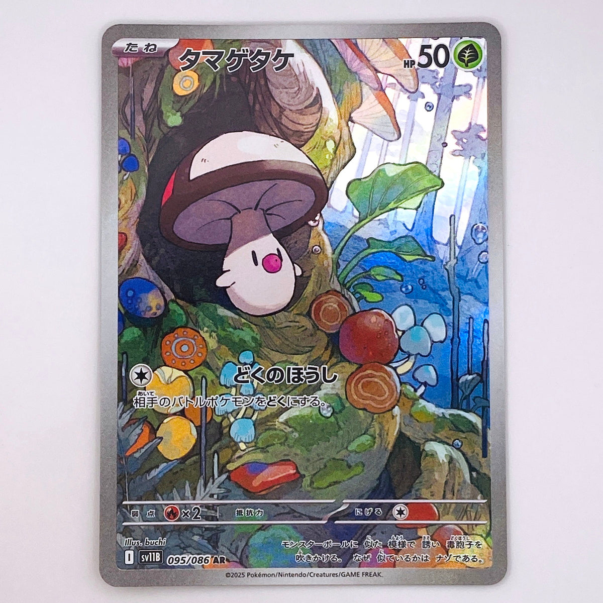 【倉吉店】 中古 トレーディングカード タマゲタケ SV11B 095/086 AR【362】