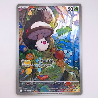 【倉吉店】 中古 トレーディングカード タマゲタケ SV11B 095/086 AR【362】