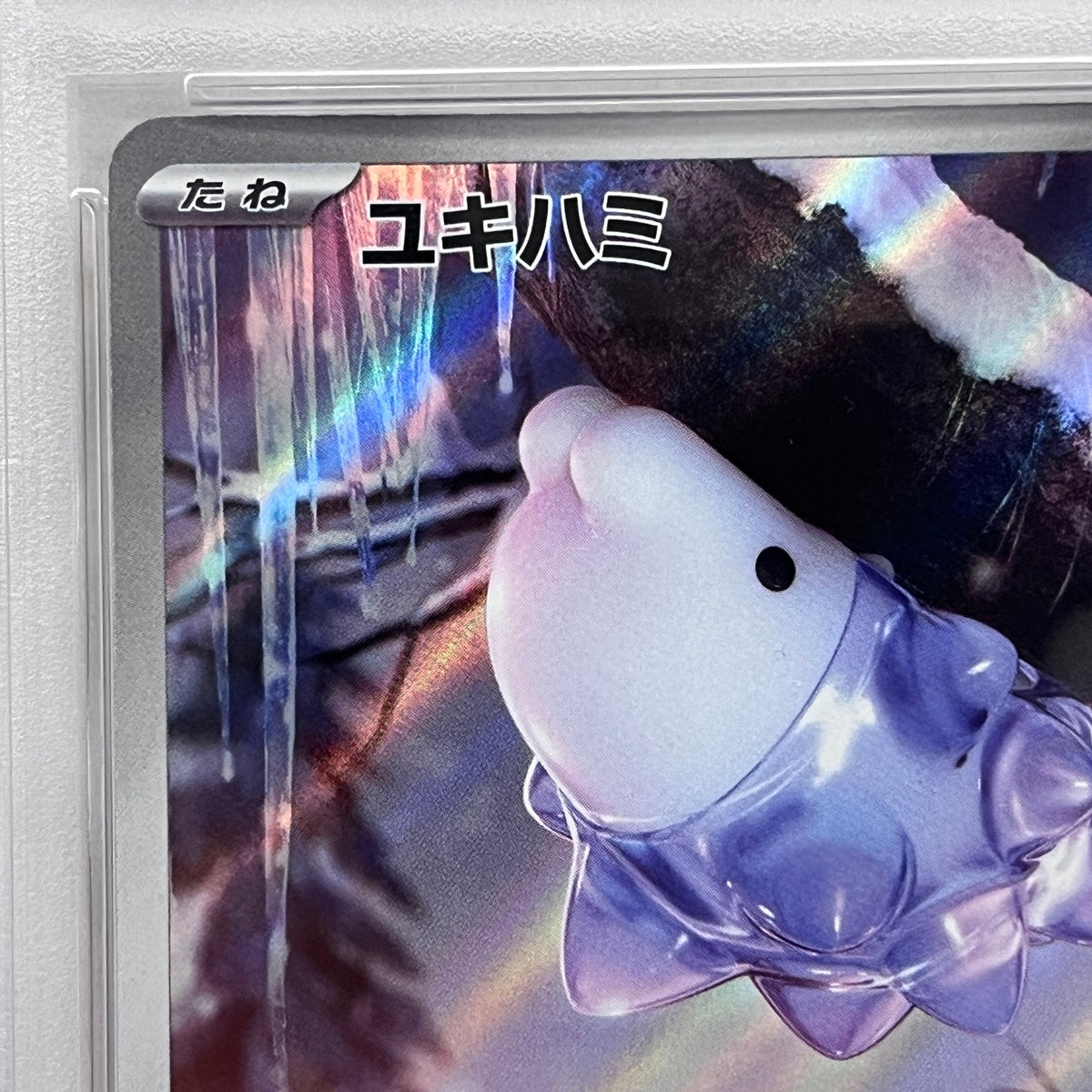 PSA10 ユキハミ AR 073/071serial:101199564【加古川店】