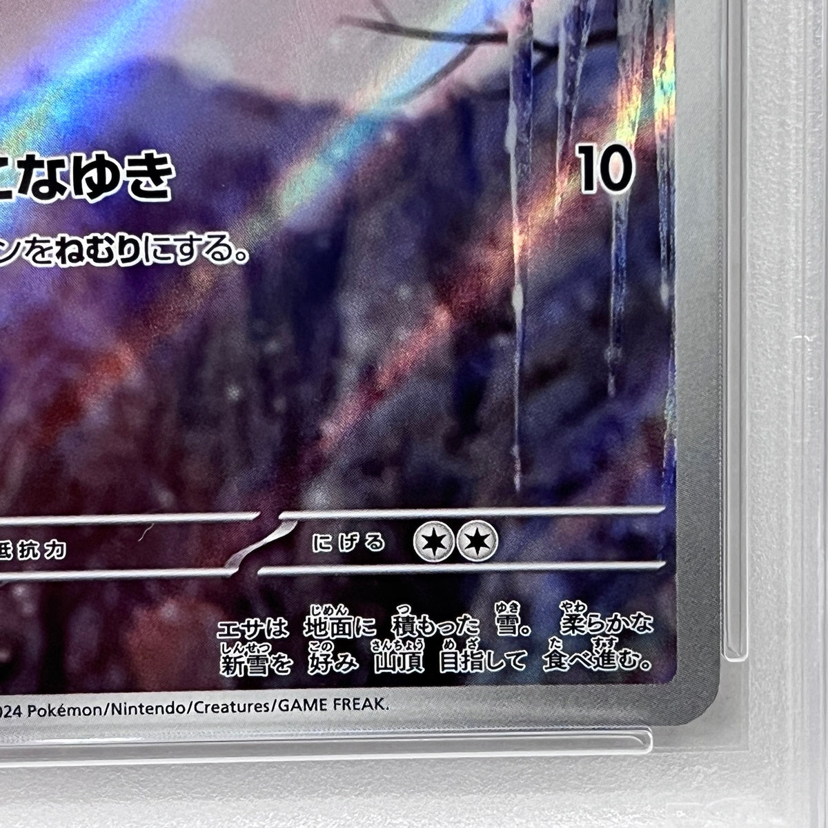 PSA10 ユキハミ AR 073/071serial:101199564【加古川店】