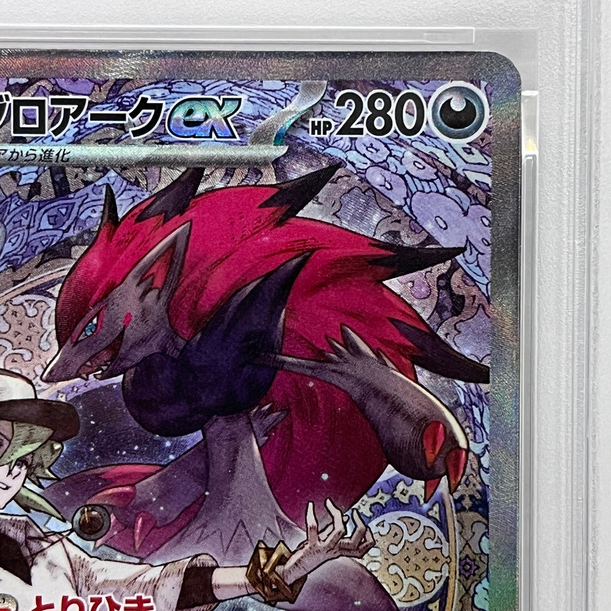 PSA10 Nのゾロアークex SAR 242/193serial:149780482【加古川店】
