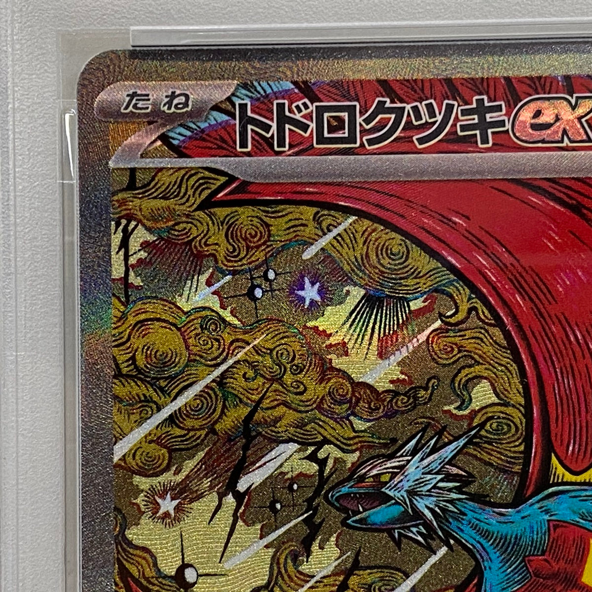 PSA10 トドロクツキ SAR 218/187serial:133819282【加古川店】