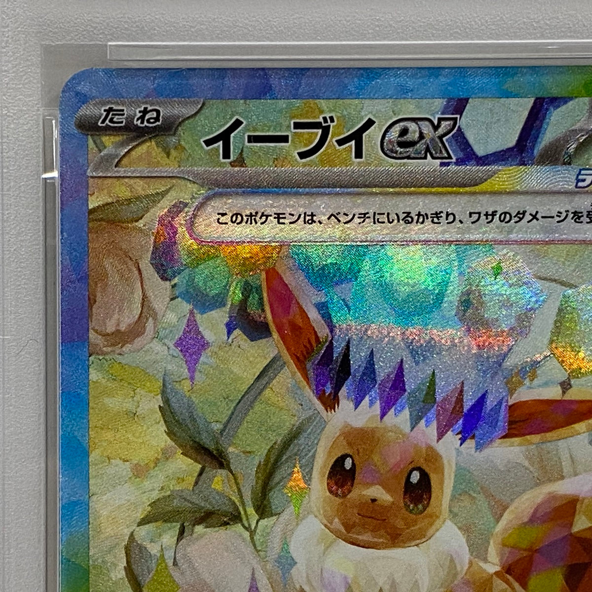 PSA10 イーブイex SAR 223/187serial:123799988【加古川店】