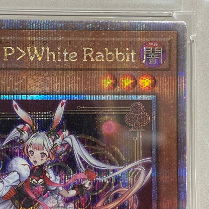 PSA10 M∀LICE P WhiteRabbit QCシークレットserial:103440890【加古川店】