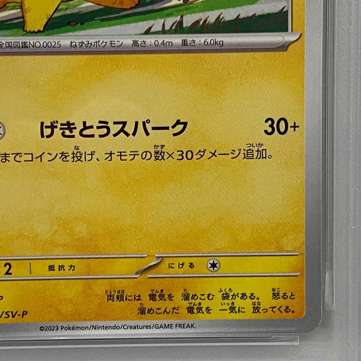 PSA10 ピカチュウ プロモ 120/SV-Pserial:158631270【加古川店】