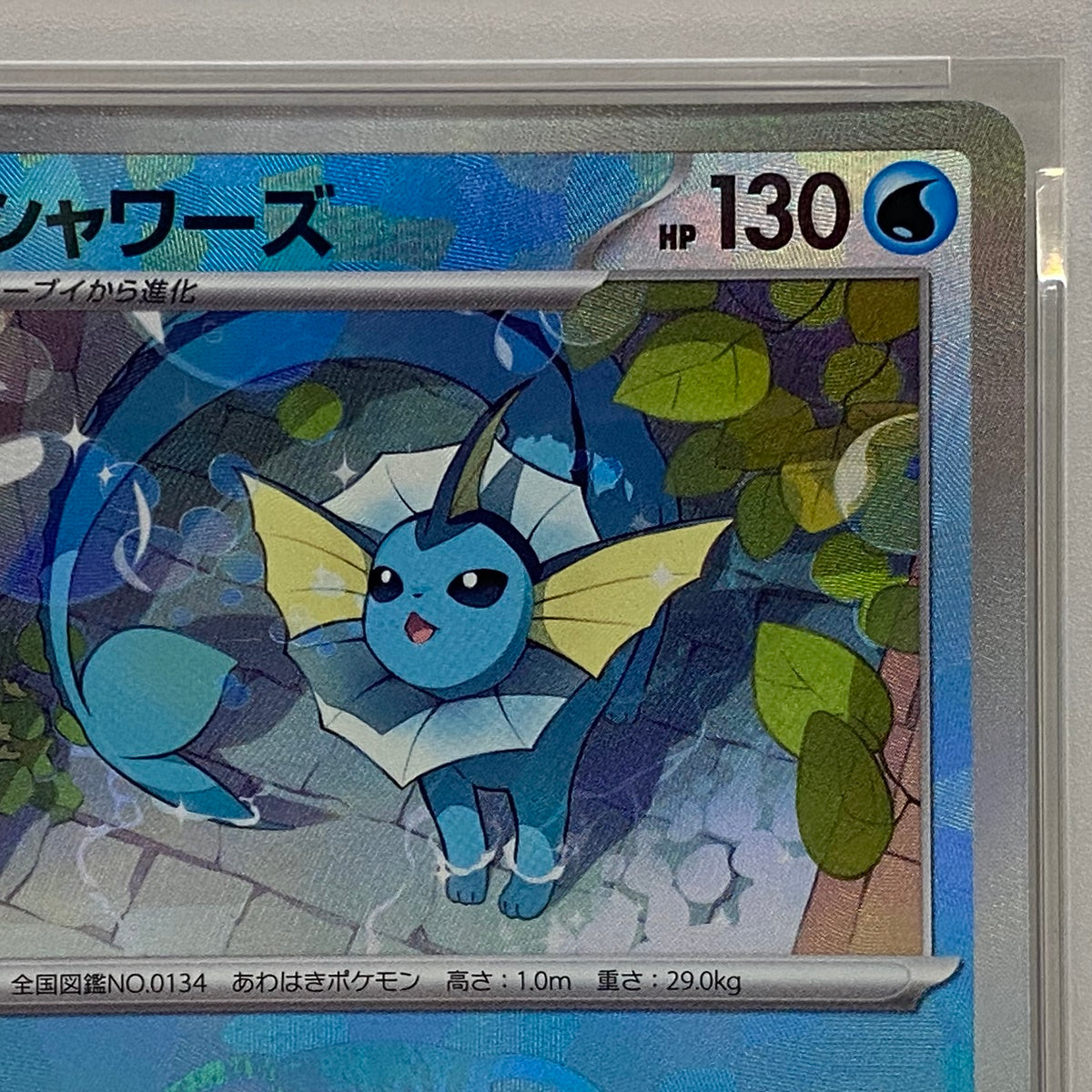 PSA10 シャワーズ ﾏｽﾀｰﾎﾞｰﾙ 030/187serial:141157599【加古川店】