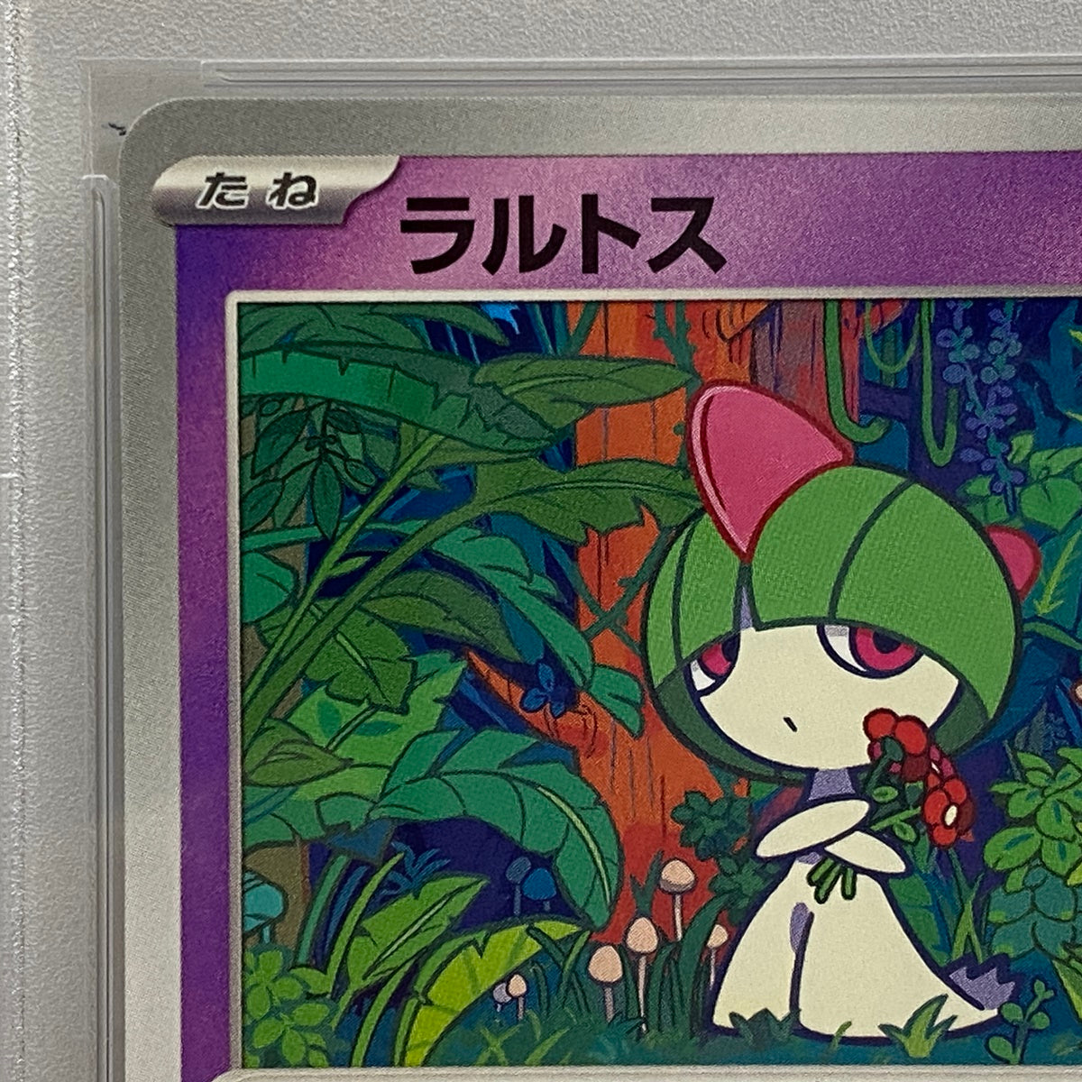 PSA10 ラルトス プロモ 021/M-Pserial:136452426【加古川店】