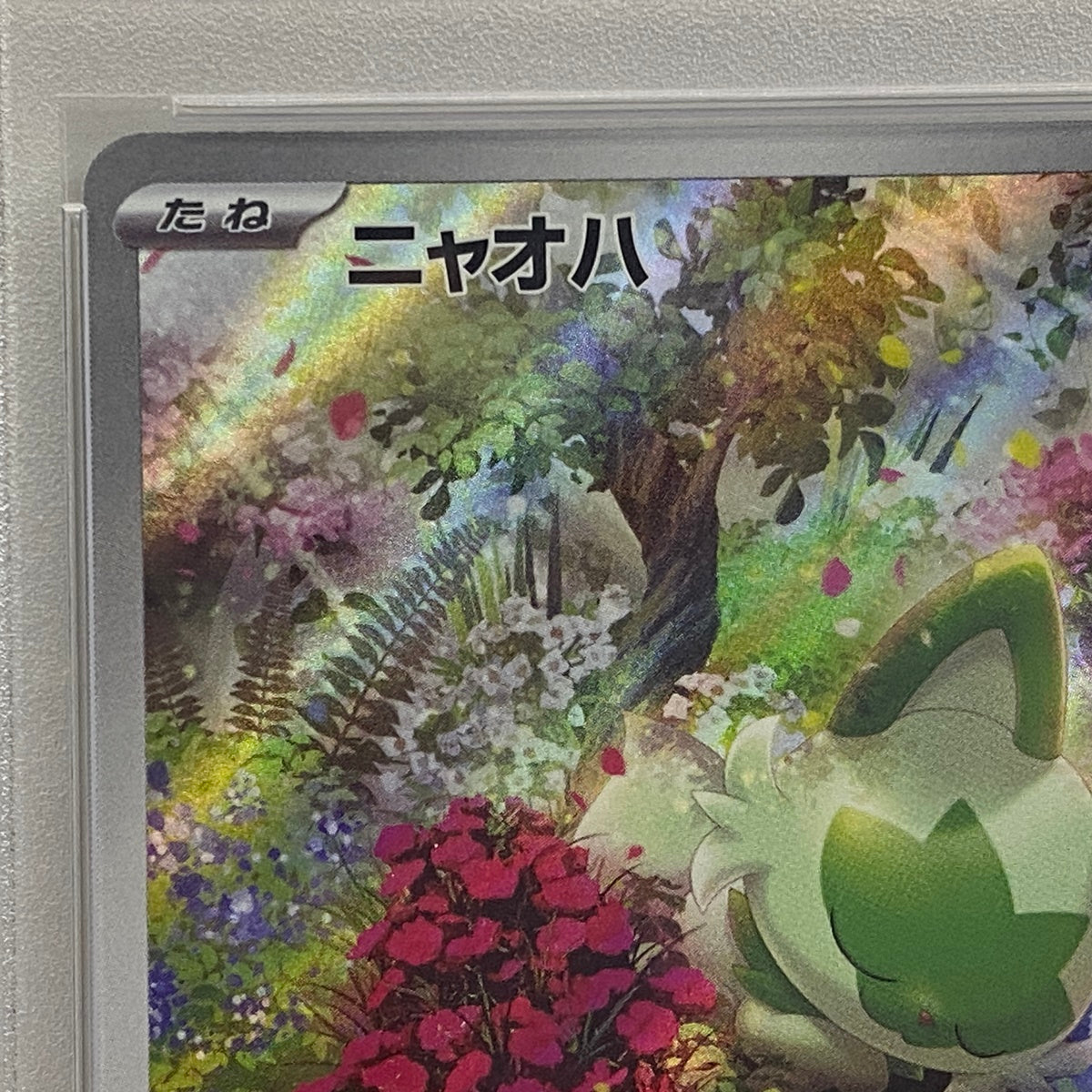 PSA10 ニャオハ AR 075/073serial:85893992【加古川店】