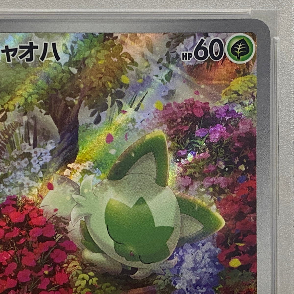 PSA10 ニャオハ AR 075/073serial:85893992【加古川店】