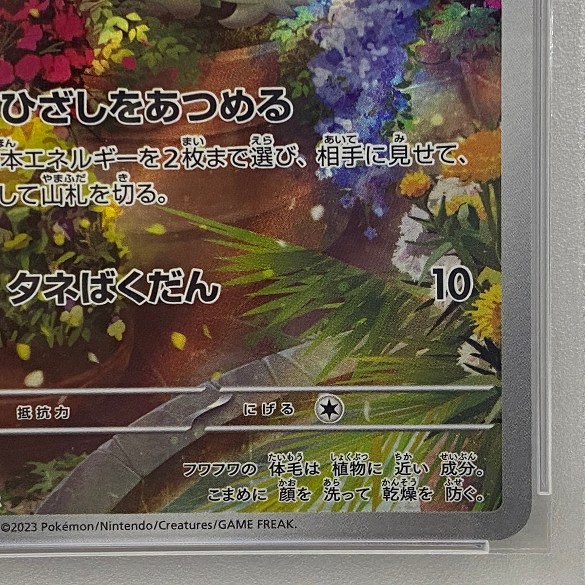 PSA10 ニャオハ AR 075/073serial:85893992【加古川店】