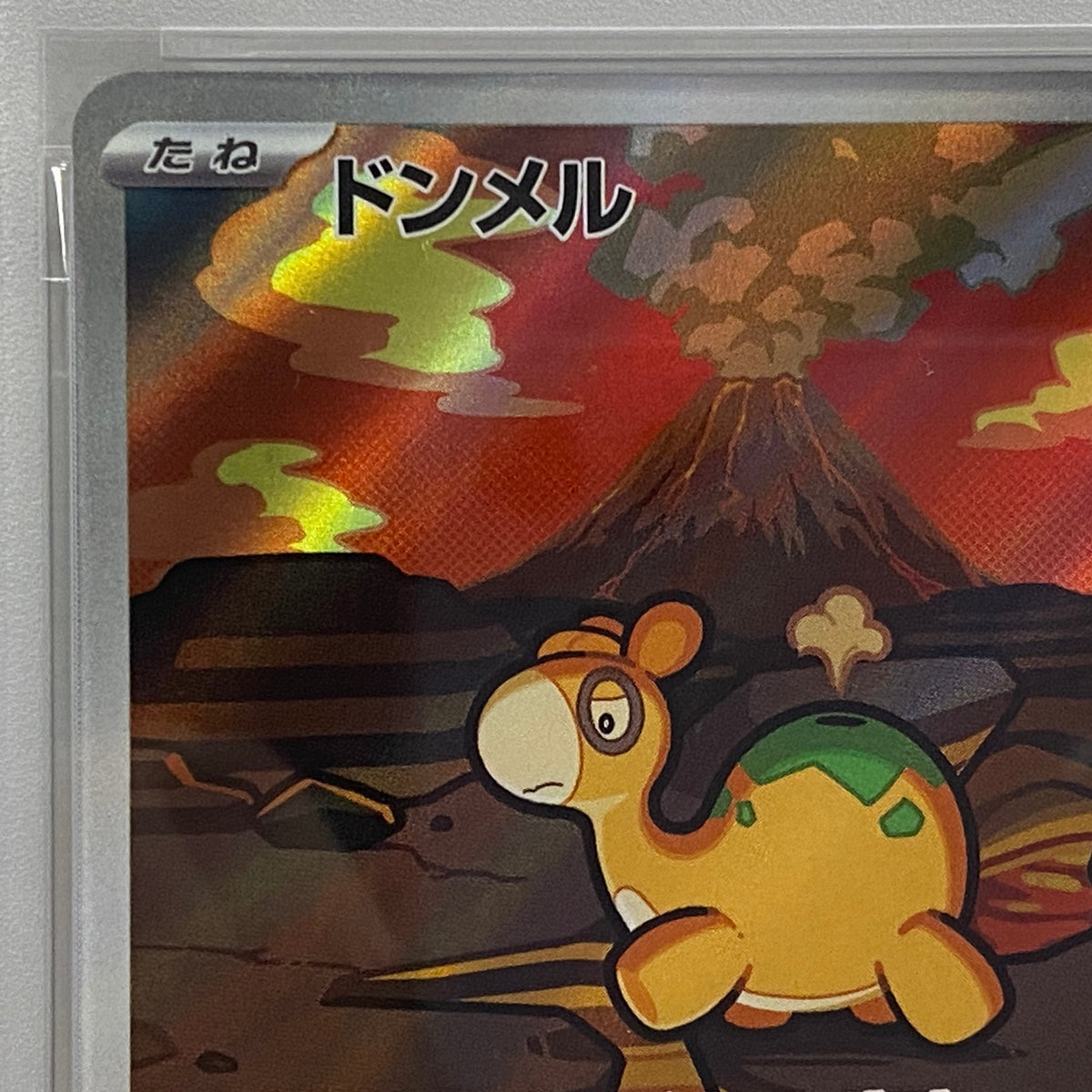 PSA10 ドンメル AR 198/193serial:160270725【加古川店】