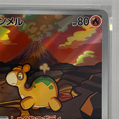 PSA10 ドンメル AR 198/193serial:160270725【加古川店】