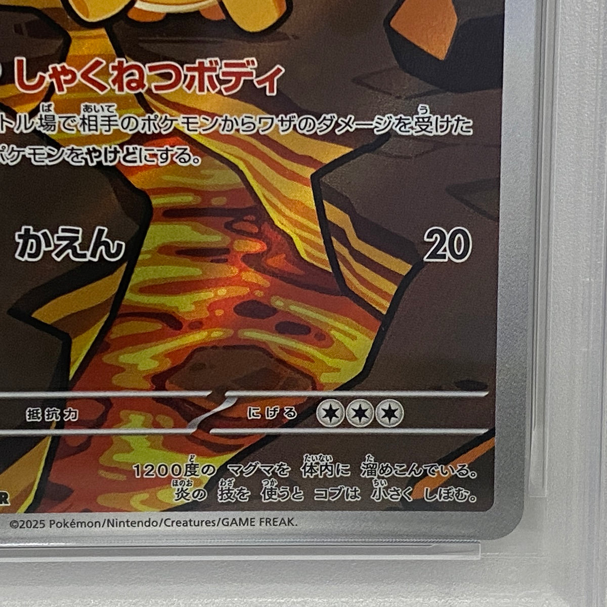 PSA10 ドンメル AR 198/193serial:160270725【加古川店】