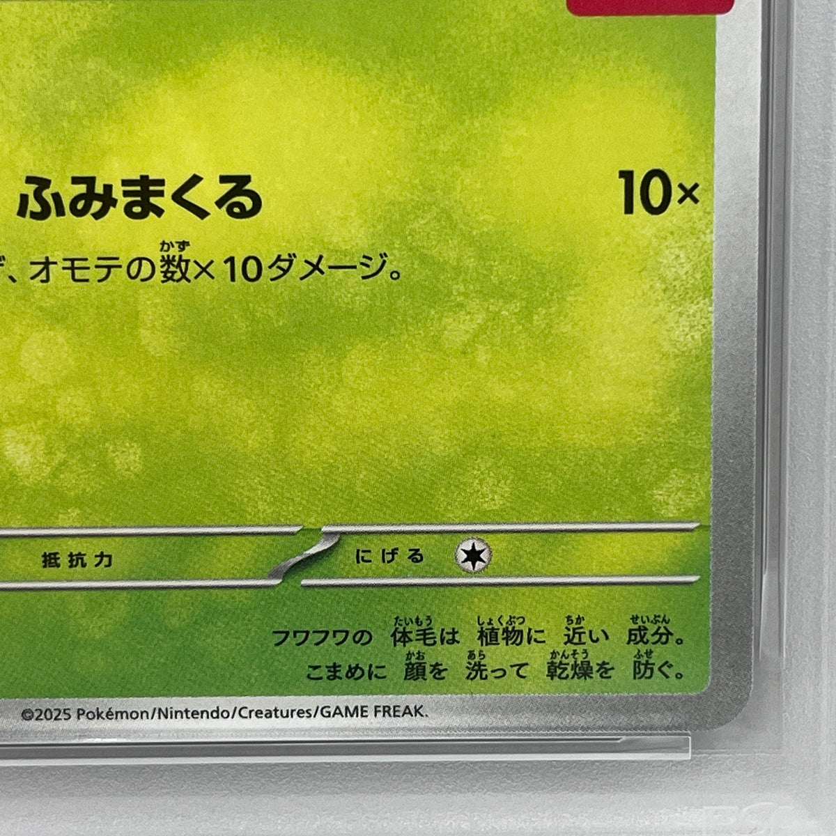 PSA10 ニャオハ ハッピーセット2025 017/M-Pserial:127990856【加古川店】